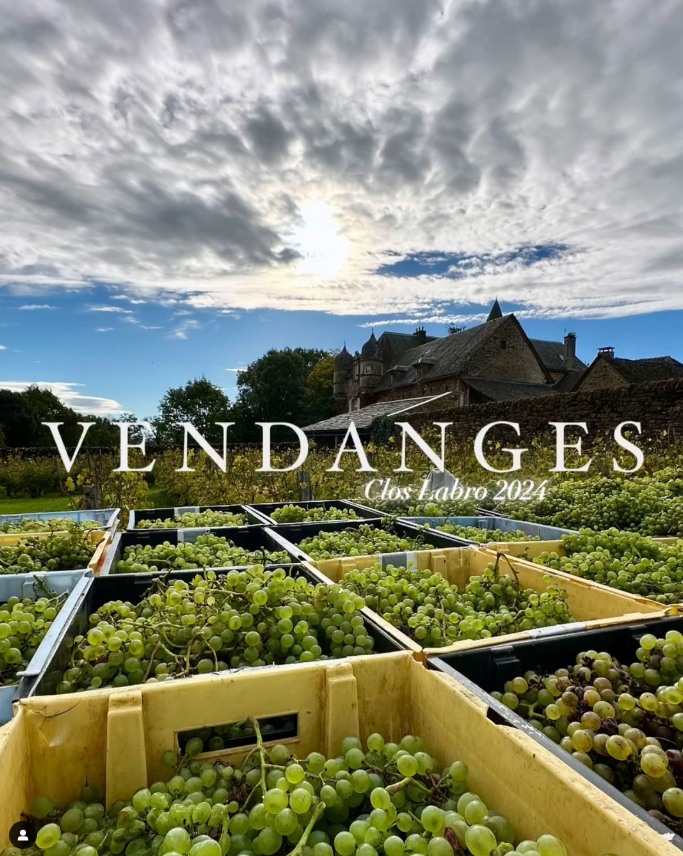 Vendanges du Clos Labro 2024